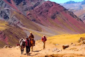 Desde Cusco: Tour Montaña De 7 Colores Día Completo (Caminata)