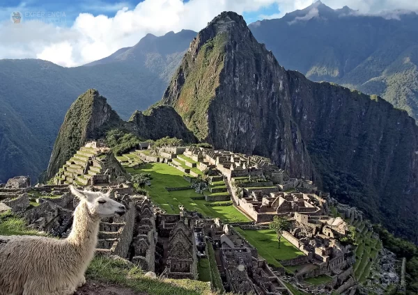 Vista desde la Terraza Inferior, Machu Picchu
